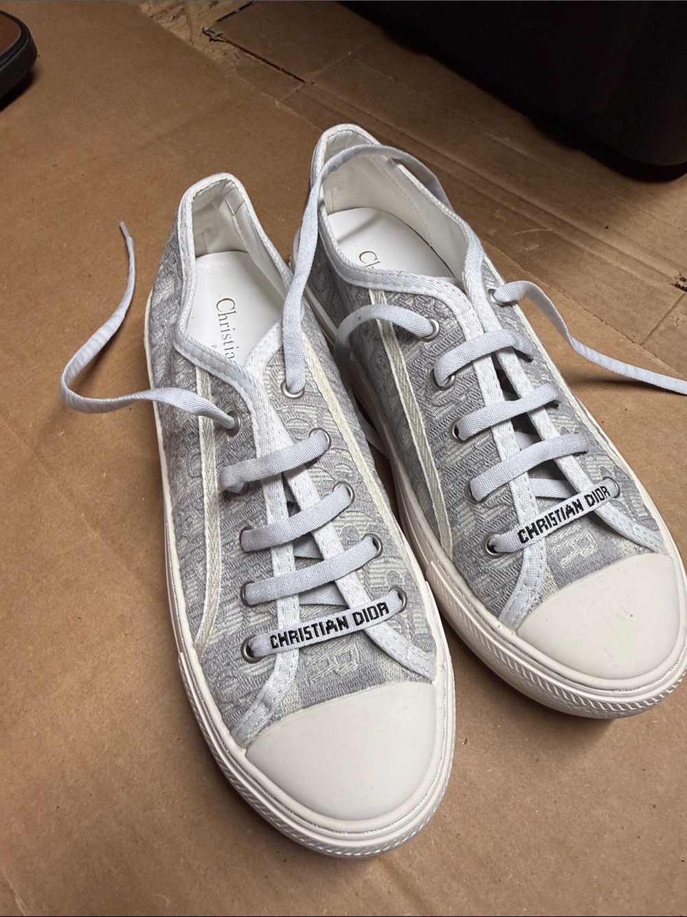 Christian Dior Gray Logo Canvas Low-Top Sneakers